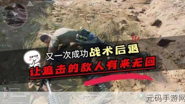 三角洲行动,称霸战场的精准蜂医战术与装备秘籍