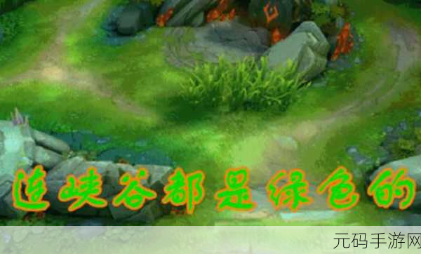 王者荣耀,高效人工举报攻略 守护绿色游戏天地