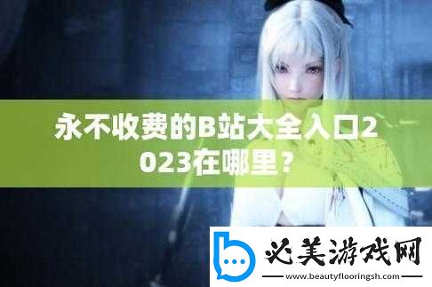 b-站大全永不收费-2023-入口在哪里：b-站官方站！