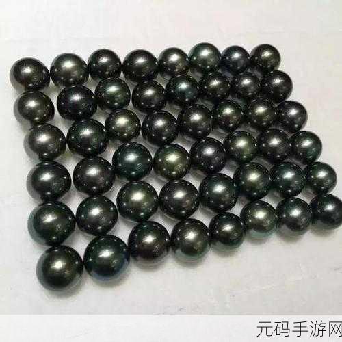 黑珍珠米斯特-1. 黑珍珠米：探索神秘的黑色美味之旅！