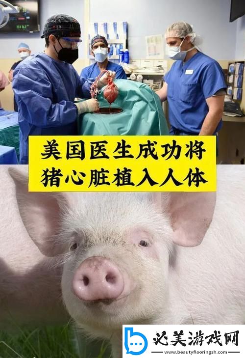 基因狂想曲：美国猪缘-笑谈崛起的新星！