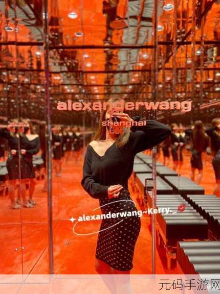 Alexanderwang妈妈-1. Alexander Wang妈妈系列:时尚与温暖的完美结合
