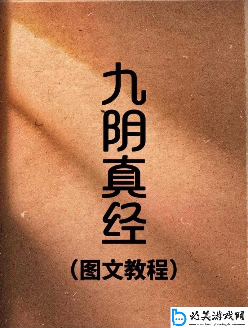 九阴真经-x88888：一部失传已久的武林秘籍！