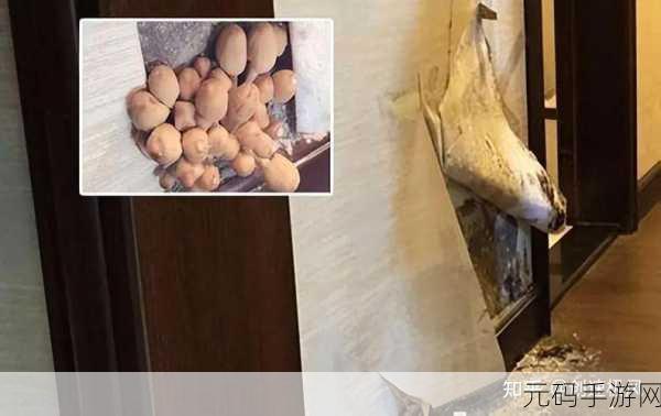 揭秘毒蘑菇性能测试，挑战极限，探索极致游戏体验！