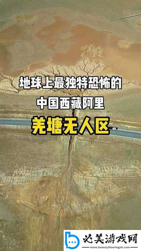 无人区编码-6229JM-探秘：探险者的未知之旅！