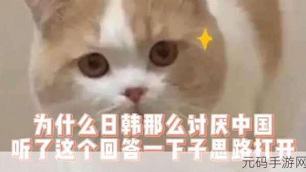 日韩码一码二码三码区别69-1. 理解日韩码的一码、二码与三码差异