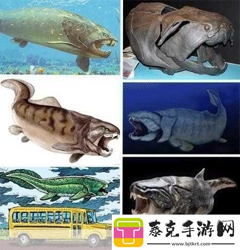 得到超级肉禽系统的紫岭红山有什么特别之处：1.紫岭红山：探索超级肉禽系统的独特优势！