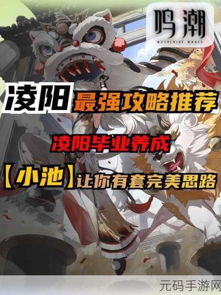 鸣潮角色攻略,2号3号位角色选择全解析