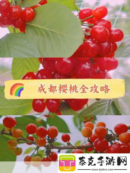 樱桃视频免费-畅享樱桃视频：乐趣无穷的视听盛宴！
