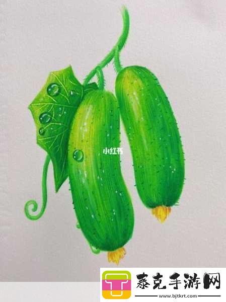 黄瓜的视频画画的图片-1.-清新夏日：黄瓜的多样魅力探索！