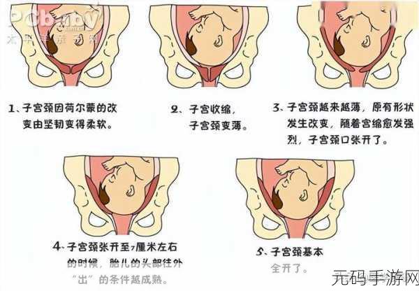 991精产三产区区别-1.深入了解991精产三产区的独特差异！