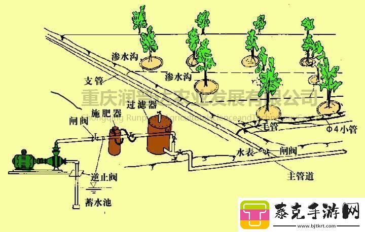 苏软软的灌溉奇遇：水流的魔术-农田的狂欢！