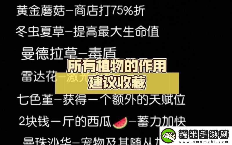元气骑士冬虫夏草的作用及具体用法全面详细解析！