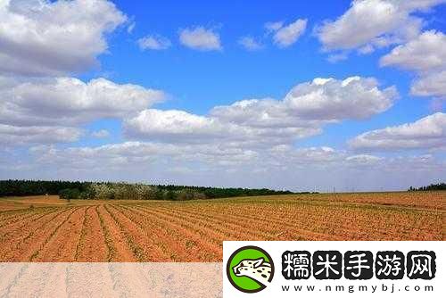 开垦妈妈肥沃的土地-1.-开垦妈妈的肥沃土地-孕育希望与未来！