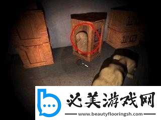探索神秘古埃及-解开法老的诅咒——卡梅伦的文件-2：法老的诅咒攻略！