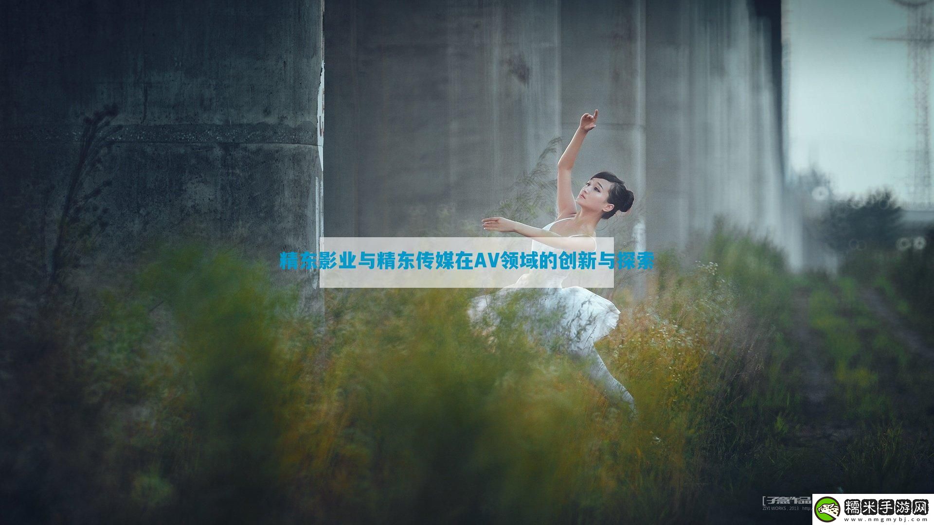 精东影业与精东传媒在AV领域的创新与探索-12315游戏！