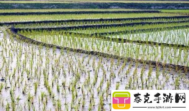 17c14.cm-换哪了：探寻其去向之谜！