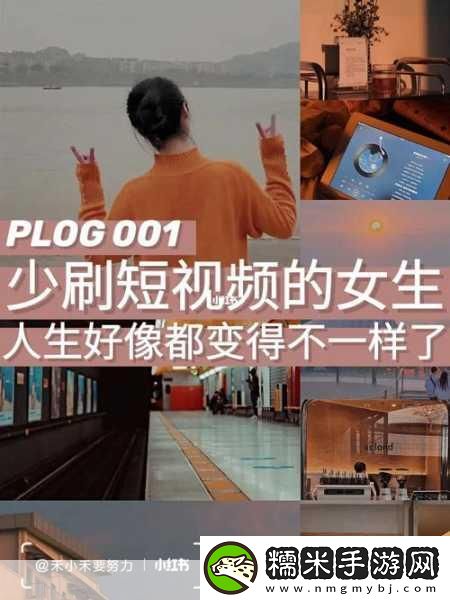 无尺码精品产品短视频专区上线后非常冷清-1.-打破冷清：无尺码精品产品短视频专区全新上线体验！