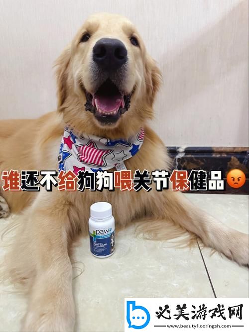 狗界革命餐单揭秘：创新人狗胶-犬食狂欢不止于饱！！