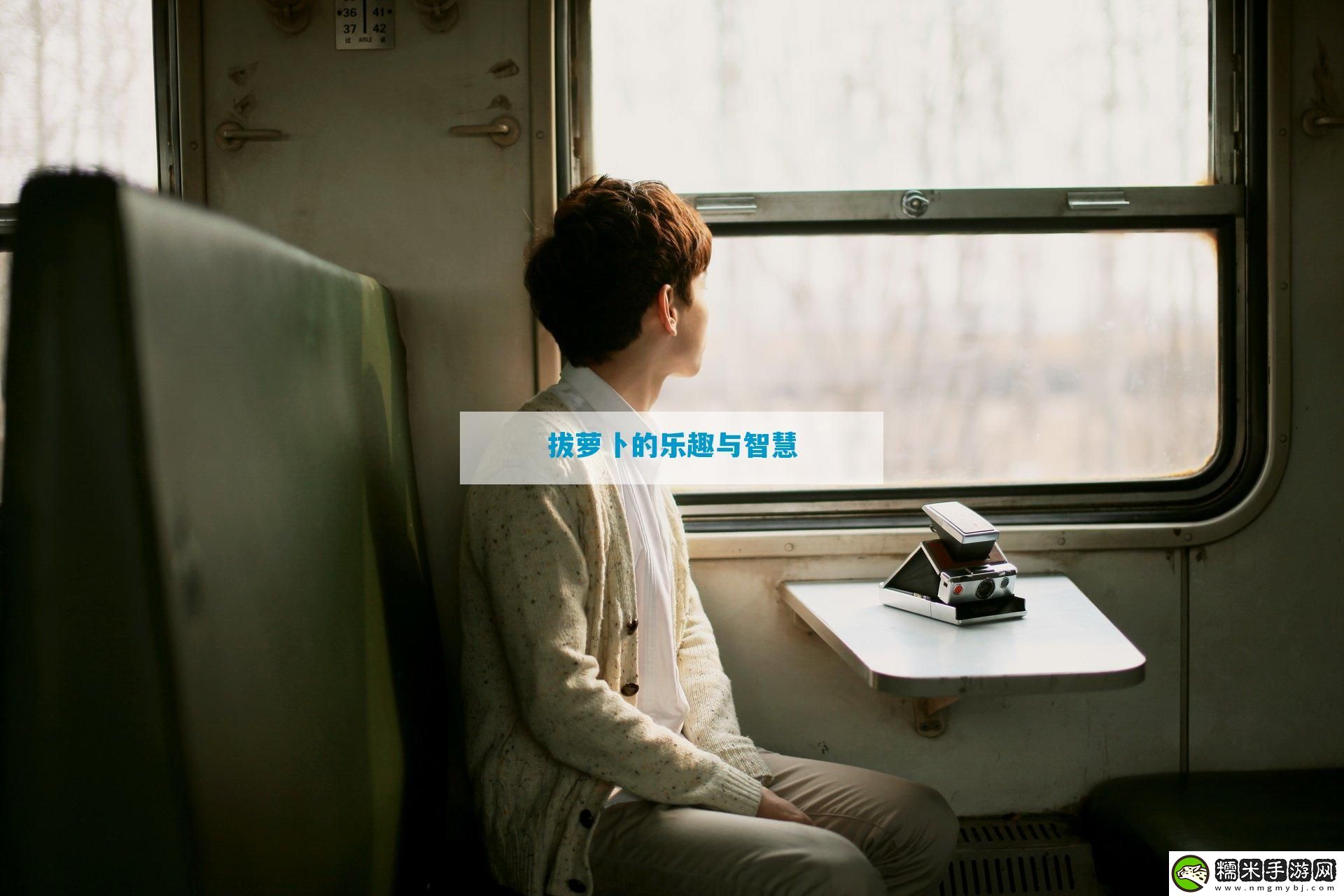 拔萝卜的乐趣与智慧-12315游戏！