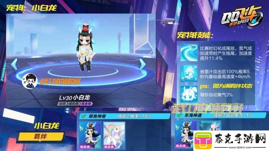 QQ飞车手游无常小黑技能全方位解读：技能介绍与效果一览！