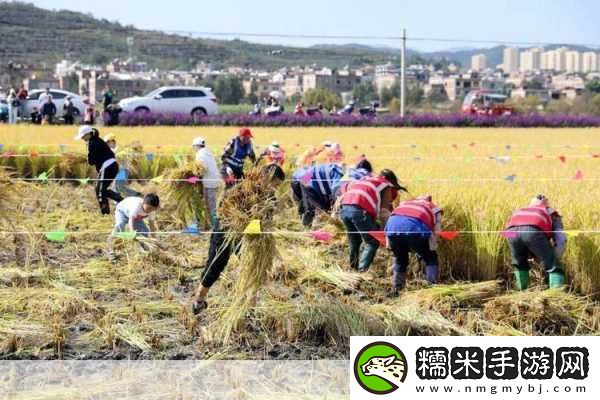 丰年经继拇中文2优惠活动免费提供-1.-丰年经继拇活动：限时免费拓展体验！！