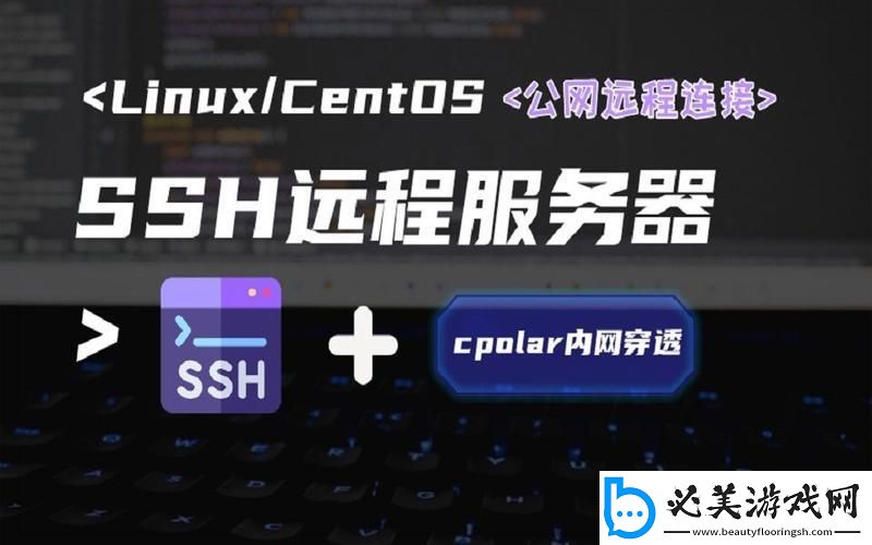 云上逍遥游：SSH-连接服务器的奇妙之旅！