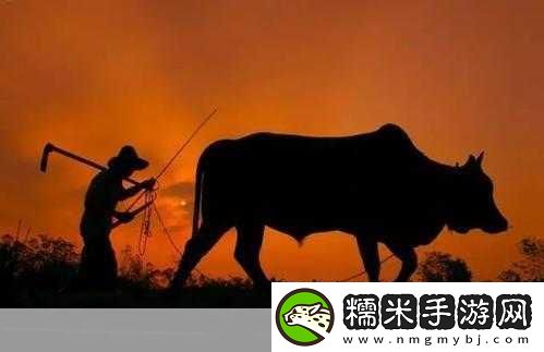 老牛耕田陈雪-1.-老牛耕田：农耕文化的传承与变迁！