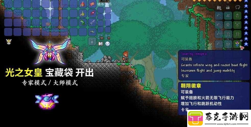 泰拉瑞亚：翅膀与鞋子的抉择！