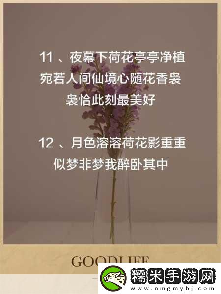女性半夜莲花开的意思-1.-半夜莲花开：女性内心的觉醒与绽放！