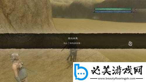 尼尔人工生命钓鱼指南：去哪钓-怎么钓！