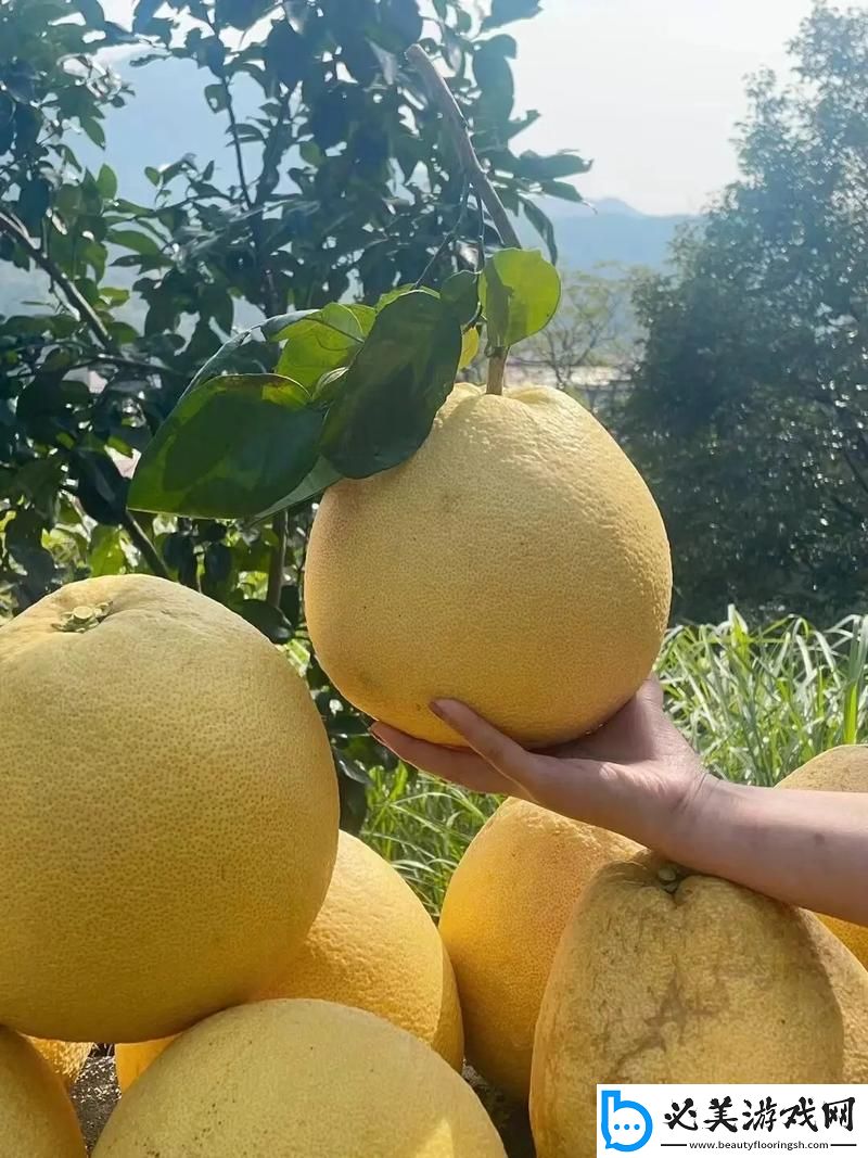 柚子熟透-网友狂潮背后：科技圈里的自嘲大赛！