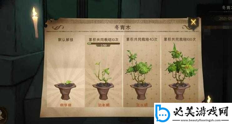 哈利波特魔法觉醒：探寻冬青木盆栽的秘密位置！