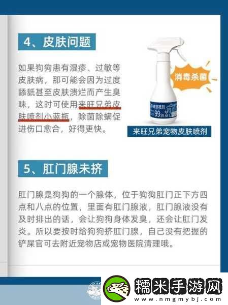 狗狗的东西又硬又烫又臭怎么办-1.-如何应对狗狗身上的异味和不适！