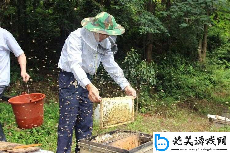 采蜜-1v.1h-方橙采意：沉浸式采蜜体验！