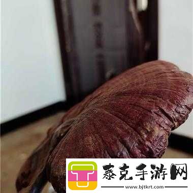 江湖秘闻：千年灵芝获取指南！