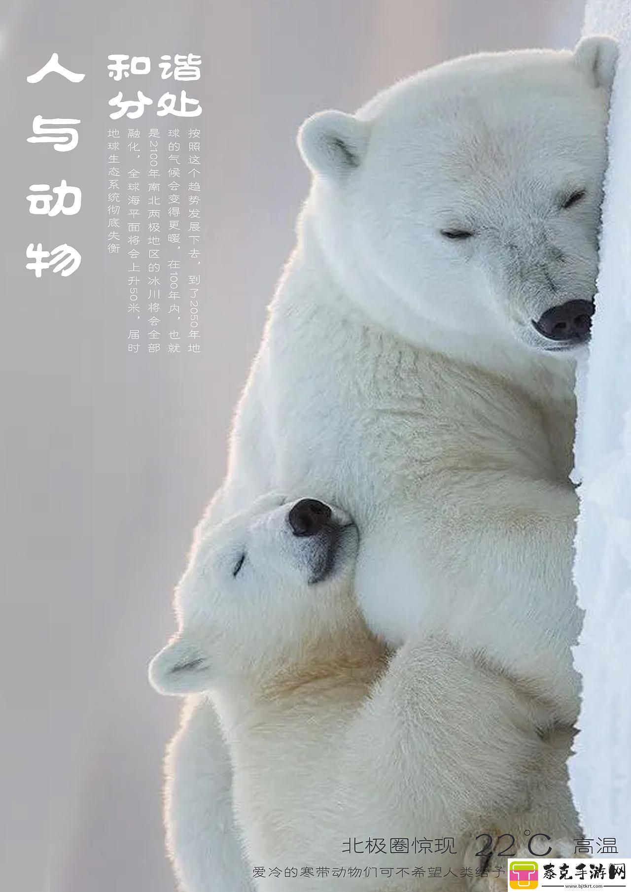 喵星人与人类：共性揭秘-友直呼-这谁顶得住！！