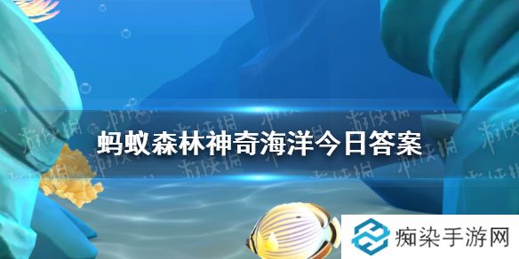 世界上最咸的海是 神奇海洋3月31日答案